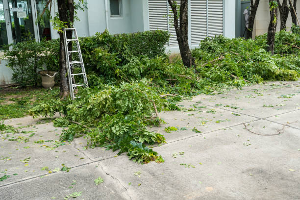 Why Choose Our Tree Removal Services in Worthington, IN?